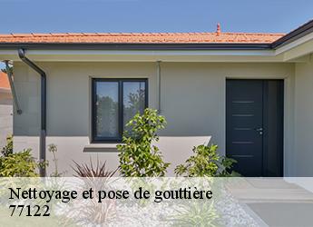 Nettoyage et pose de gouttière 77122