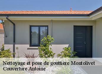 Nettoyage et pose de gouttière