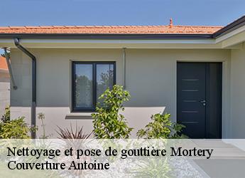 Nettoyage et pose de gouttière