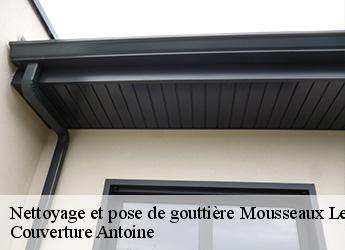 Nettoyage et pose de gouttière 77480