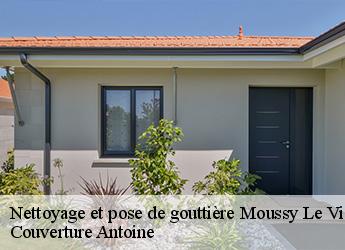 Nettoyage et pose de gouttière