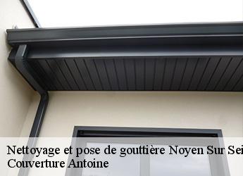 Nettoyage et pose de gouttière  77114