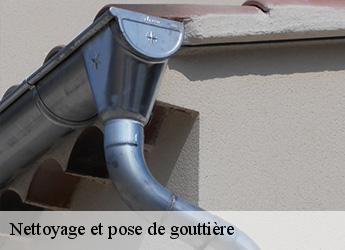 Nettoyage et pose de gouttière