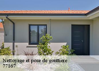 Nettoyage et pose de gouttière 77167