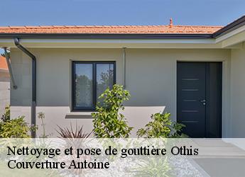 Nettoyage et pose de gouttière