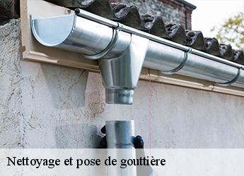 Nettoyage et pose de gouttière  77710