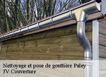 Nettoyage et pose de gouttière 77710