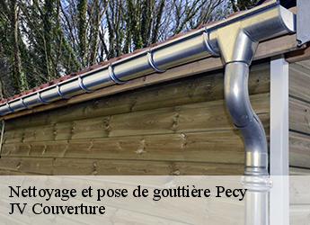 Nettoyage et pose de gouttière  77970