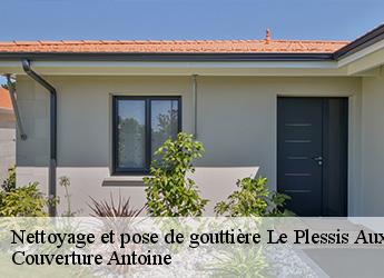 Nettoyage et pose de gouttière