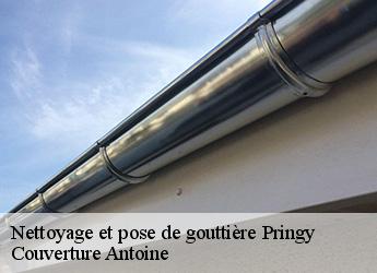 Nettoyage et pose de gouttière  pringy-77310 Couverture Antoine