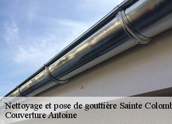 Nettoyage et pose de gouttière  sainte-colombe-77650 Couverture Antoine