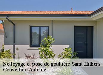 Nettoyage et pose de gouttière