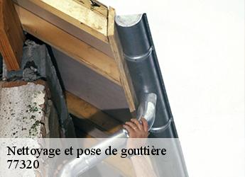 Nettoyage et pose de gouttière