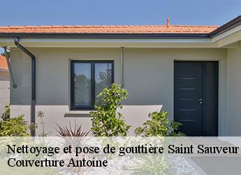 Nettoyage et pose de gouttière