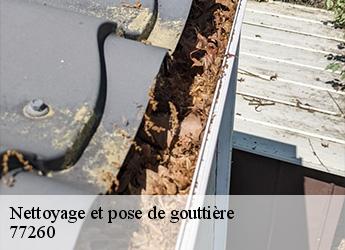 Nettoyage et pose de gouttière  77260