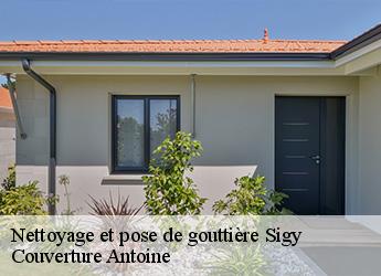 Nettoyage et pose de gouttière