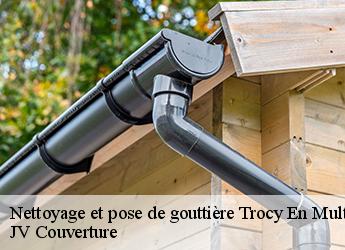 Nettoyage et pose de gouttière trocy-en-multien-77440 JV Couverture