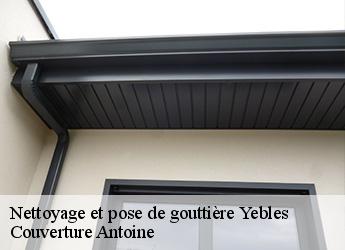 Nettoyage et pose de gouttière  77390