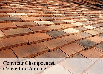 Couvreur  77560