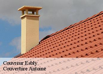 Couvreur  esbly-77450 Couverture Antoine