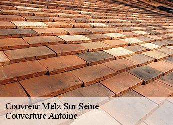 Couvreur  77171
