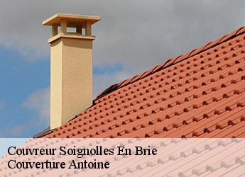 Couvreur  soignolles-en-brie-77111 Couverture Antoine