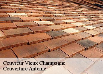 Couvreur  77370