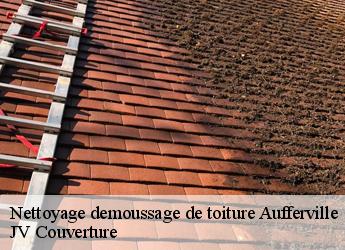 Nettoyage demoussage de toiture 77570