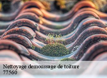 Nettoyage demoussage de toiture  77560