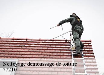 Nettoyage demoussage de toiture  77210