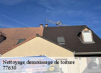 Nettoyage demoussage de toiture