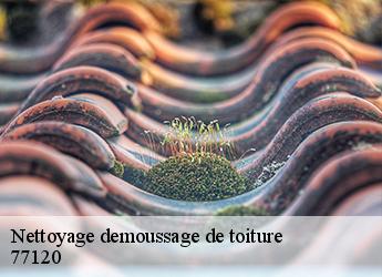 Nettoyage demoussage de toiture  77120