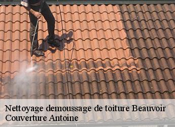 Nettoyage demoussage de toiture