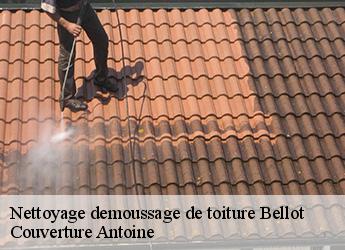 Nettoyage demoussage de toiture