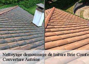 Nettoyage demoussage de toiture  77170