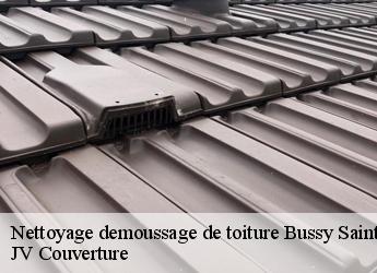 Nettoyage demoussage de toiture  bussy-saint-georges-77600 Artisan Romero David