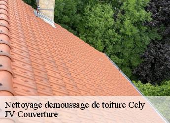 Nettoyage demoussage de toiture