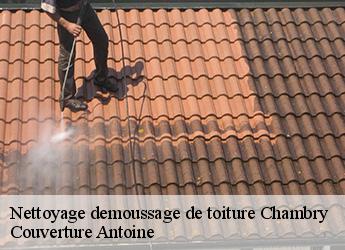 Nettoyage demoussage de toiture