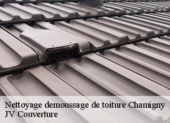 Nettoyage demoussage de toiture chamigny-77260 Artisan Romero David