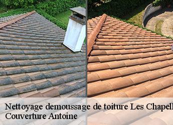 Nettoyage demoussage de toiture  77610