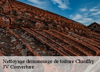 Nettoyage demoussage de toiture