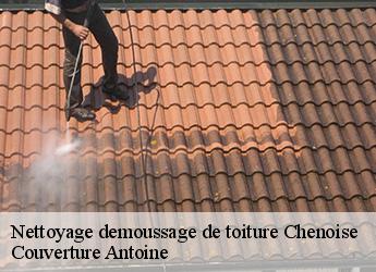 Nettoyage demoussage de toiture