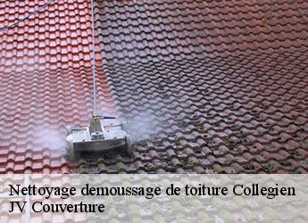 Nettoyage demoussage de toiture collegien-77090 JV Couverture