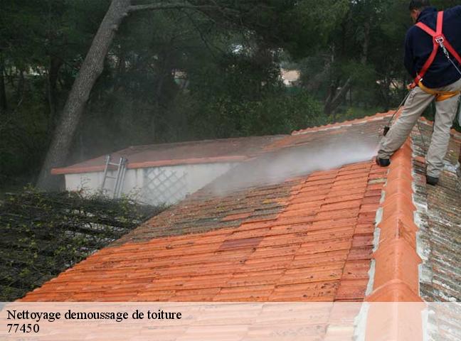 Nettoyage demoussage de toiture  77450