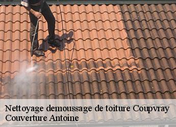Nettoyage demoussage de toiture