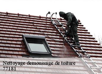 Nettoyage demoussage de toiture