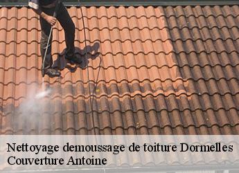 Nettoyage demoussage de toiture