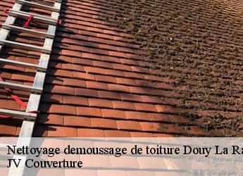 Nettoyage demoussage de toiture  77139