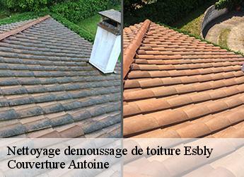 Nettoyage demoussage de toiture  77450