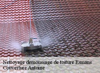 Nettoyage demoussage de toiture  esmans-77940 Couverture Antoine